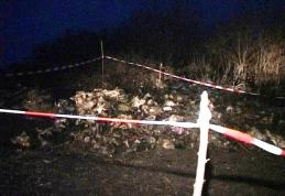 Descoperire macabră la Suharău. Zeci de leşuri de cai la marginea unui drum comunal 