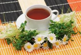 Ceaiul potrivit pentru orice tulburare: ghimbirul taie foamea şi menta linişteşte stomacul