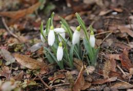 Vezi cum va fi vremea luni şi marţi în România