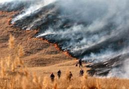Stop incendiilor de vegetaţie uscată!