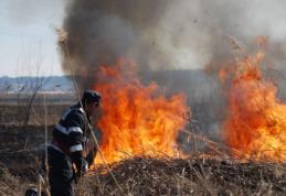 Focuri scăpate de sub control. 14 incendii în două zile 
