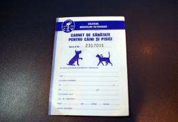 Autorităţile au decis! Vezi ce eşti obligat să faci de pe 15 martie când ieşi cu câinele la plimbare