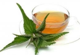 Ce afecțiuni puteți trata cu urzici