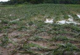 Guvernul va acorda amnistie fiscală pentru proprietarii terenurilor afectate, anul trecut, de calamități