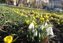 Temperaturile vor depăşi 20 de grade în următoarea săptămână. Vezi prognoza meteo până în 30 martie