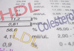 Colesterol „bun” și „rău”? Nu există așa ceva! Ce nu-ți spune medicul despre colesterol