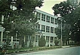 Amintiri despre trecut – Nostalgia teilor în „Dorohoiul de altădată”