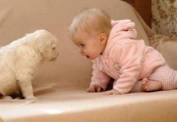 Cum îți poate îmbolnăvi animalul preferat, copilul