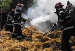 15 tone de furaje distruse în incendii provocate din joacă