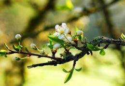 Prognoza meteo pentru trei zile. Cu ce vreme începe săptămâna