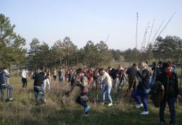 „Şcoala altfel” la Liceul „Regina Maria”, Dorohoi - FOTO