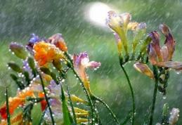 Vremea de Florii. Prognoza meteo pe trei zile!