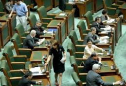 Vacanță record pentru senatori: O lună, până la 26 mai