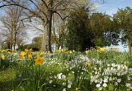 Vremea până pe 4 mai. Cât va ploua şi ce temperaturi vor fi în următoarele două săptămâni, în fiecare regiune a ţării