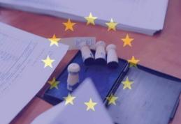 Alegeri europarlamentare 2014: Vezi secțiile de votare și arondarea străzilor din Dorohoi!