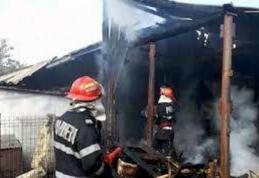 Adăpost de animale aprins de un scurtcircuit electric