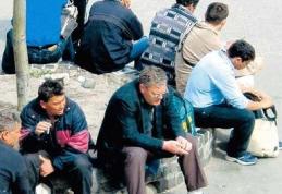 Munca la negru ar putea fi pedepsită cu închisoarea