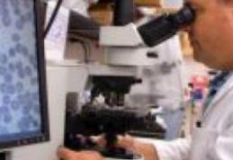 Boli care au trecut de la animale la oameni si invers