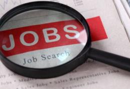 Directia de Asistență Socială Dorohoi face angajări. Vezi posturile scoase la concurs!