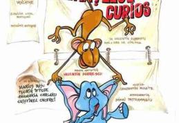 „Elefănţelul curios”  la  Sala Teatrului din Dorohoi, prezentat de  Teatrul „Vasilache”