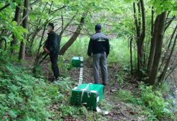 Reţinut de polițiștii de frontieră dorohoieni pentru contrabandă cu  ţigări în Dersca