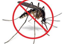 Cum scapi de țânțari în mod natural