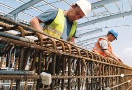 AJOFM Botoșani: 20 de locuri de muncă oferite de un angajator din Lituania. Vezi detalii!