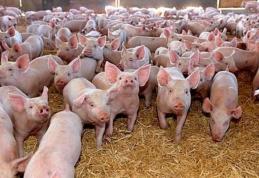 Credite pentru fermieri, garantate în proporție de 80 la sută