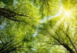 Prognoza meteo pe trei zile. Temperaturile scad în aproape toată ţara, începând de sâmbătă