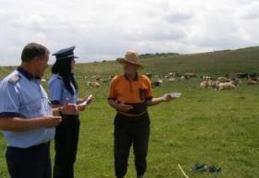 Campanie a poliţiştilor botoşăneni pentru prevenirea furturilor de animale în mediul rural