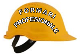 1584 de someri vor beneficia de programe de formare in anul 2011  