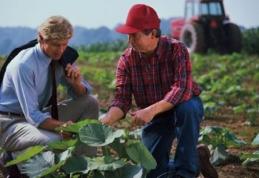 Cine scapă de plata impozitului pe venit aferent anului 2013