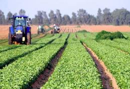 Judeţul Suceava, lider la agricultura ecologică de 7 ani