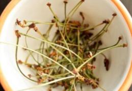 Ceaiul de cozi de cireşe, un remediu de sezon