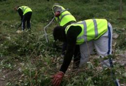 Muncă în folosul comunității prestată de persoanele ce nu și-au achitat amenzile