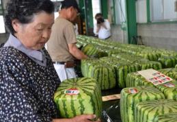 Câteva lucruri pe care nu le știai despre pepenele roşu