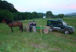 Țigarete de contrabandă transportate cu căruţa, descoperite de poliţiştii de frontieră din Dorohoi la Hilișeu - Crișan - FOTO