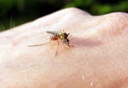 De ce unii oameni sunt mușcați mai mult de țânțari decât alții?