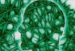 11 alimente care îţi ucid inteligenţa. Încet şi sigur!