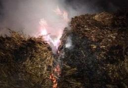 Răzbunare cu foc la Frumuşica