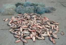 Doi bărbați depistați de jandarmi cu 25 kg de pește furat de la o fermă piscicolă
