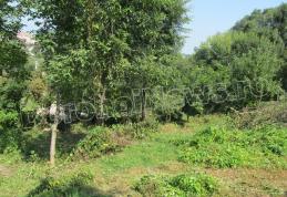 Parcul Cholet se extinde! Dorin Alexandrescu: „Va fi o zonă verde, de prelungire a parcului” - FOTO