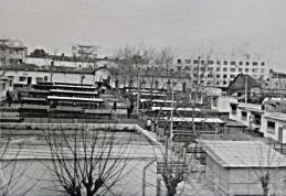 Amintiri despre trecut – „Dorohoiul de altădată” - Piaţa