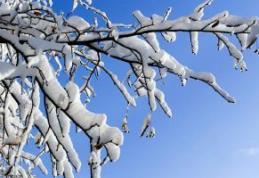 Dorohoi : Vreme rece şi ninsori, în următoarele zile