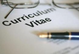 Rezultate furnizate de AJOFM Botosani privind participarea la bursa locurilor de munca din Danemarca