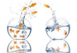 Încă un primar și doi consilieri s-au alăturat echipei PSD