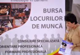 AJOFM Botoșani organizează „Bursa locurilor de muncă pentru absolvenţi”