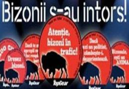 A apărut aplicaţia pentru şoferii indisciplinaţi: conducătorii auto nesimţiţi pot fi raportaţi la poliţie