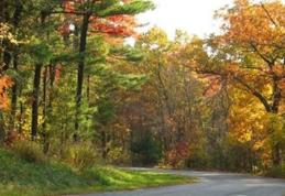 Vremea devine schimbătoare: Cerul se împarte între nori şi soare