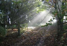 Tradiții şi obiceiuri de 1 Octombrie: Ce e bine să faci în prima zi din Brumar